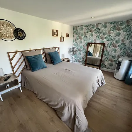 Alba Zen & Villefranche-de-Lauragais