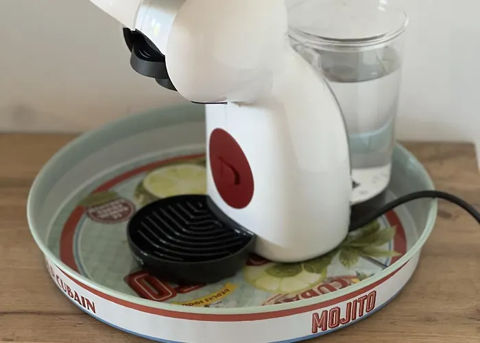 Alba Zen & * 洛拉盖自由城