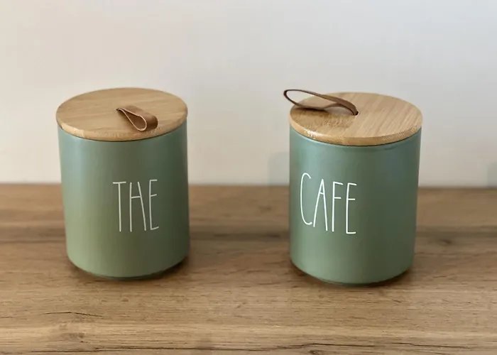 Alba Zen & * 洛拉盖自由城